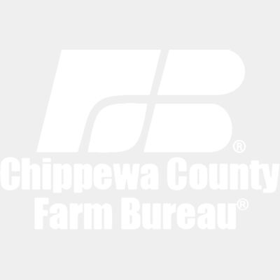 Chippewa CO WIFB - White (SCP) Thumbnail